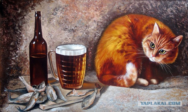 Картинки и приколы из сети