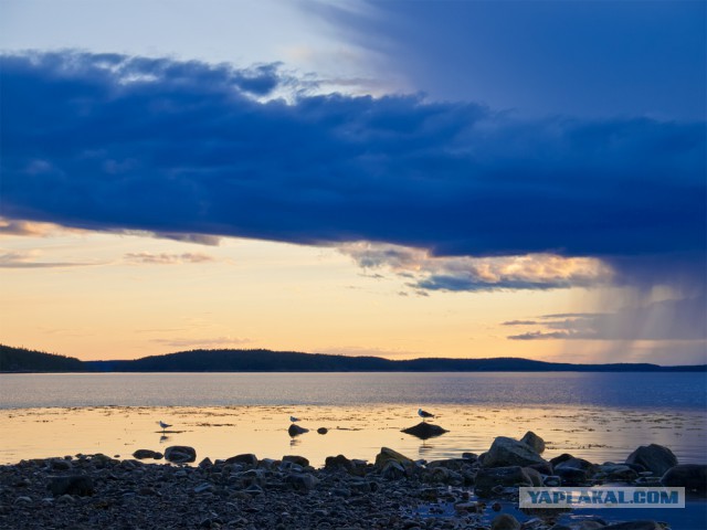 Карелия. Белое море.