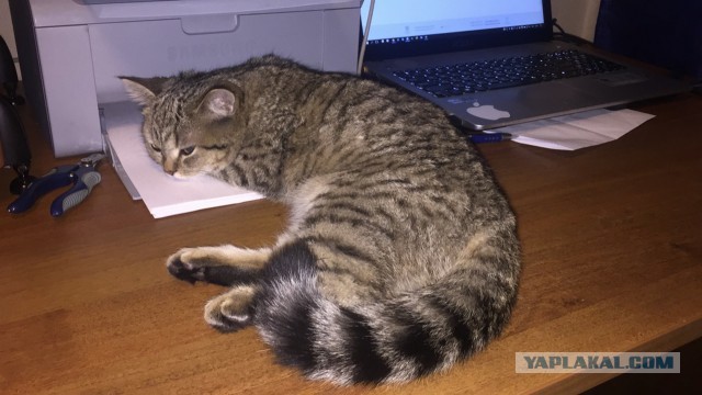 Я хочу так сидеть, не трогайте меня