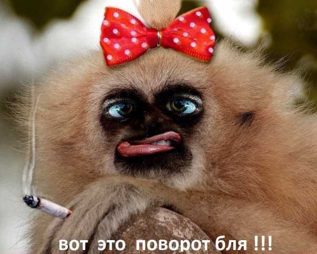 ЯПовцы, покайтесь !