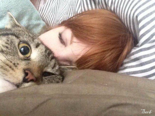 Котэ и кровать