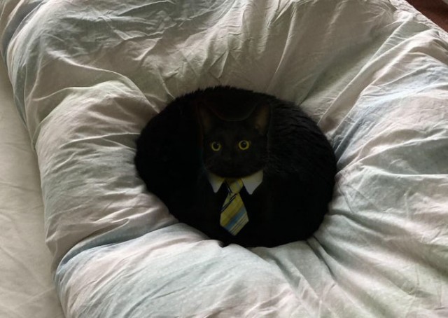 Чёрная дыра