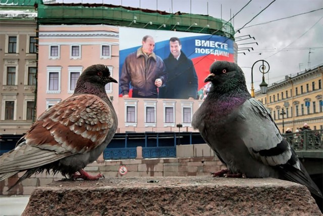Живность из сети