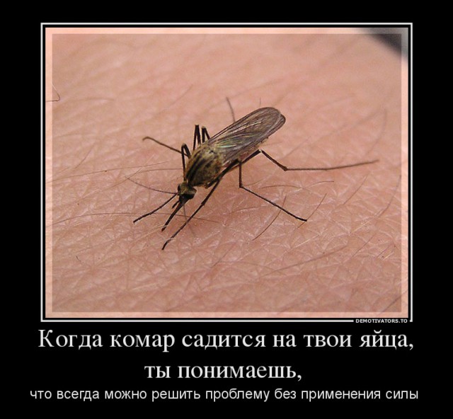 Зачем комар пьет кровь?