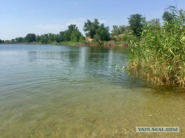 Почему жителей Пушкино не пускают на водоём?