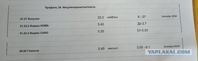 Как мы худели на спор, и я за два месяца нахудел 9 кг.