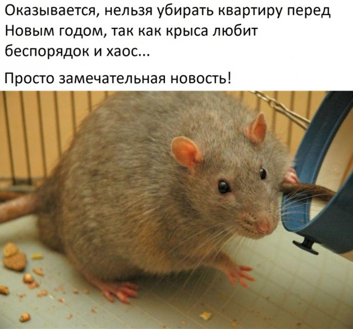 Поезд дальше не идёт