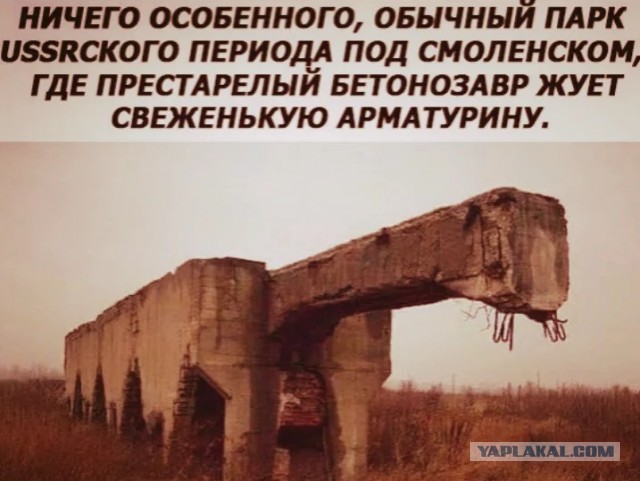 Бредзона 04.03.2020