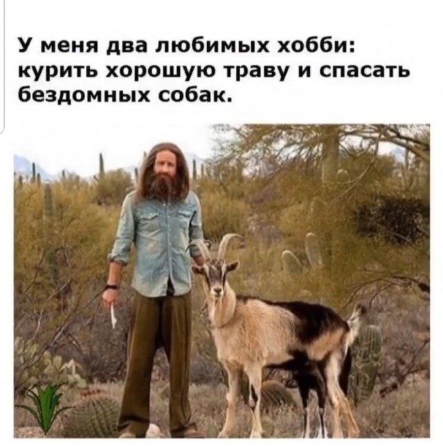 Картинки с надписями