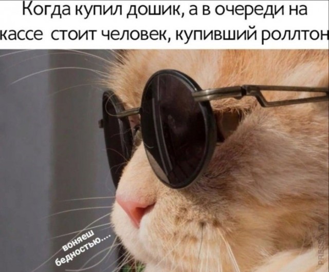 Немного картинок для настроения 14.11.20