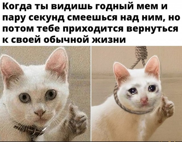 Картинки с надписями и всякие жизненные фразы 10.1.21