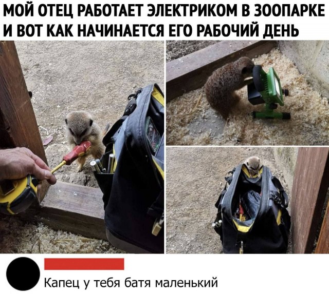 Не пропускай день деградации!