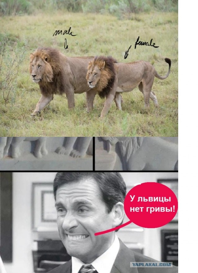 Немного юмора, гуманитарного 3