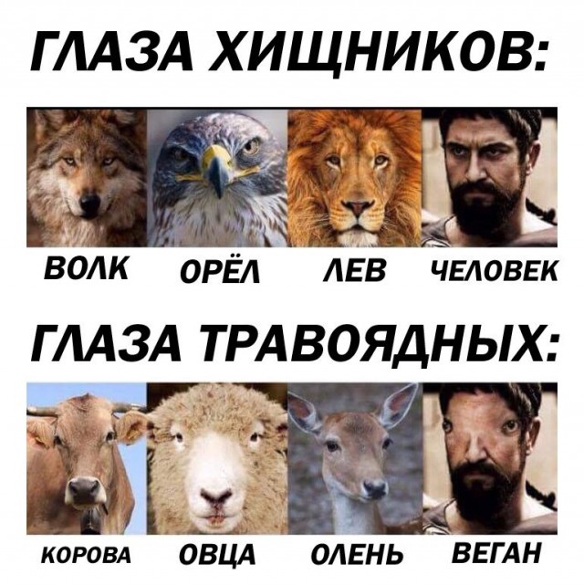 Картинки и мемы, всем хороших выходных