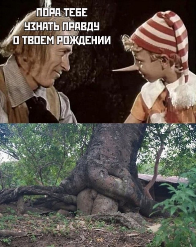 Аморальные картинки
