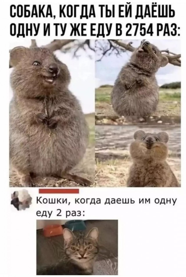 Картинки аморальные и всякие разные - 37