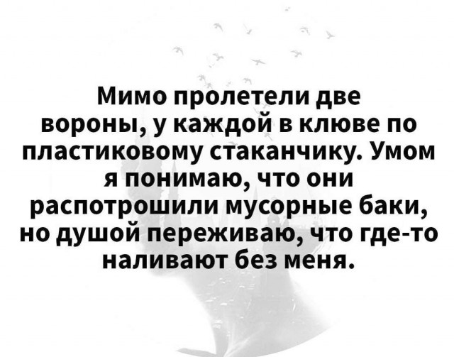 Картинки и мемы для настроения - 23