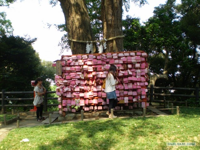 Далёкая Япония