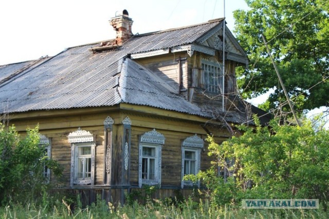 Далекая деревня на севере Костромской области. Бабушка живет одна в деревне
