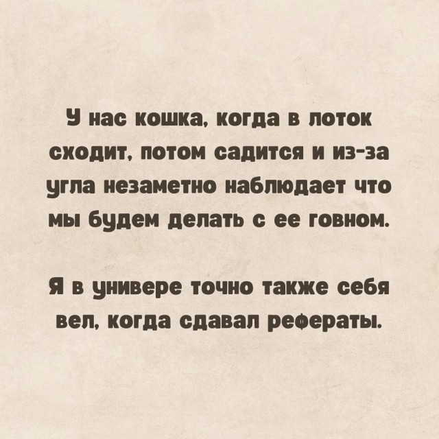 Так себе картинки 17.07.23