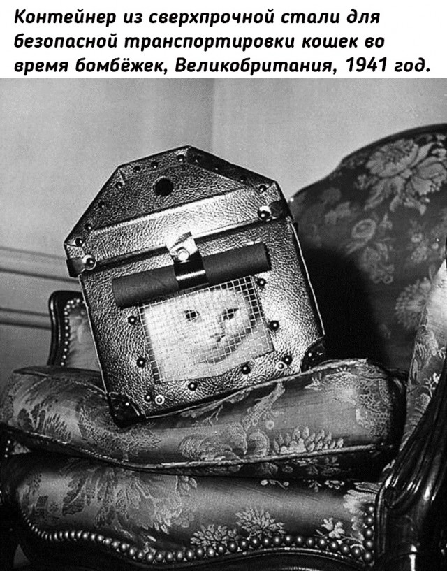 Небольшая подборка исторических фото (18.07)