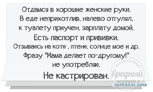 Забавные комментарии из социальных сетей (09.10.23)