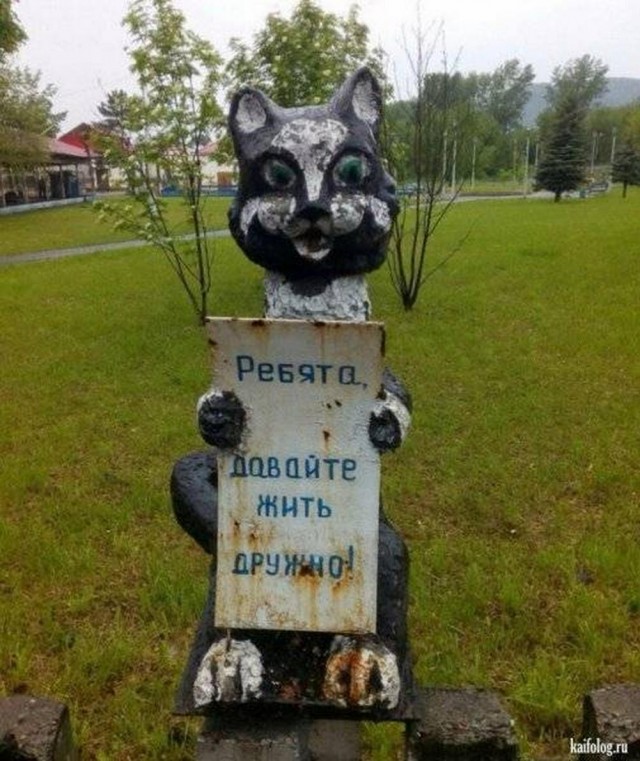 Прикольные и просто красивые картинки 10.09.2024