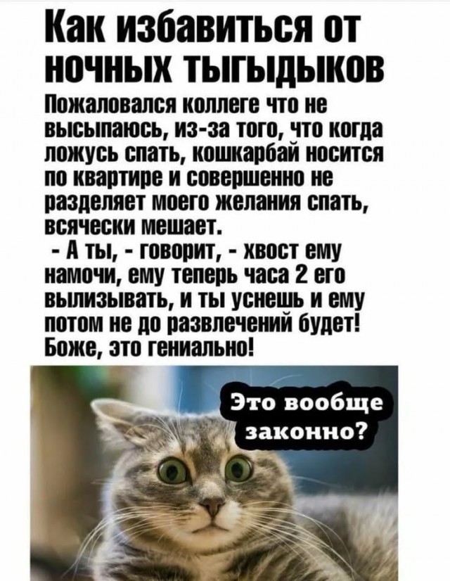 Завалялось тут случайно немного забавных картинок