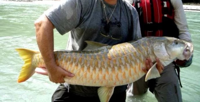 Бутан, таинственный Бутан