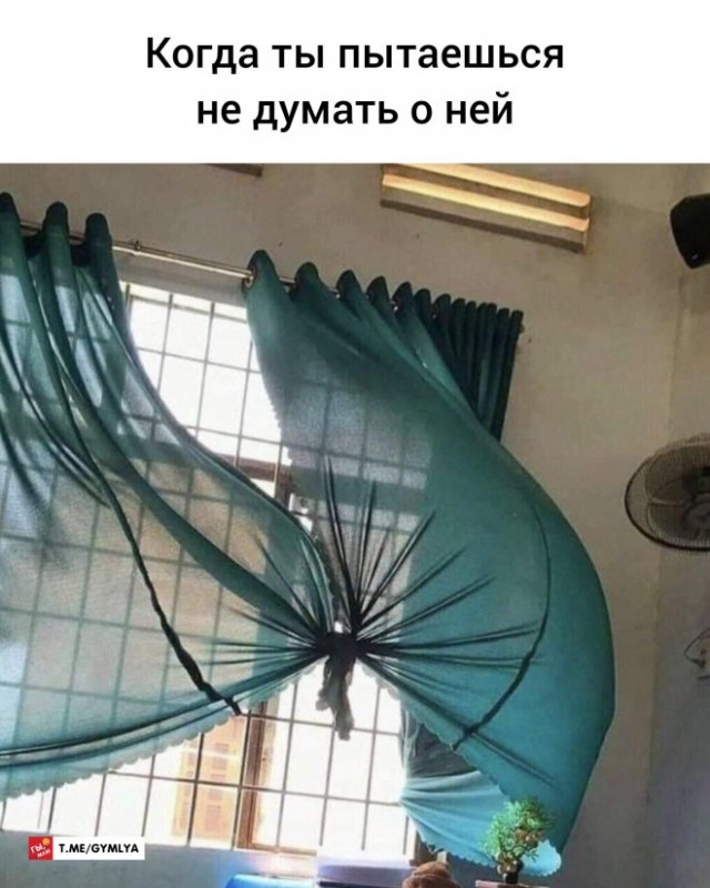 Веселые картинки в среду (практически в пятницу) (07.05)