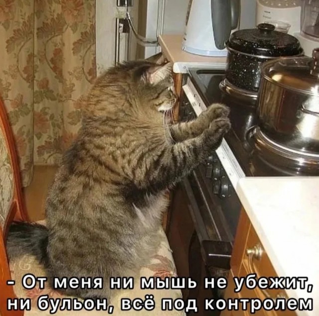 Завалялось тут случайно немного забавных картинок