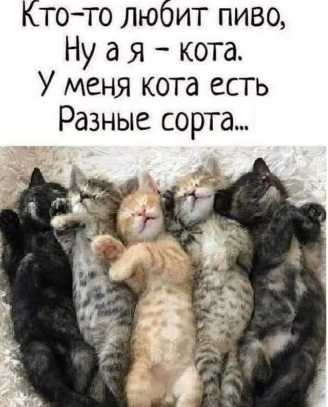 Так себе картинки 08.06.25