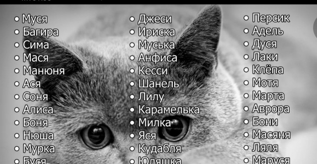 Помогите с именем