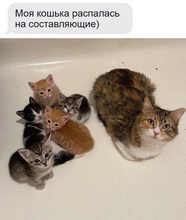Так себе картинки 30.10.25