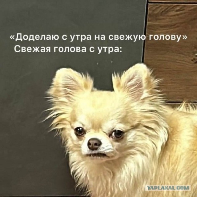 Забавные и не очень скромные картинки - 18