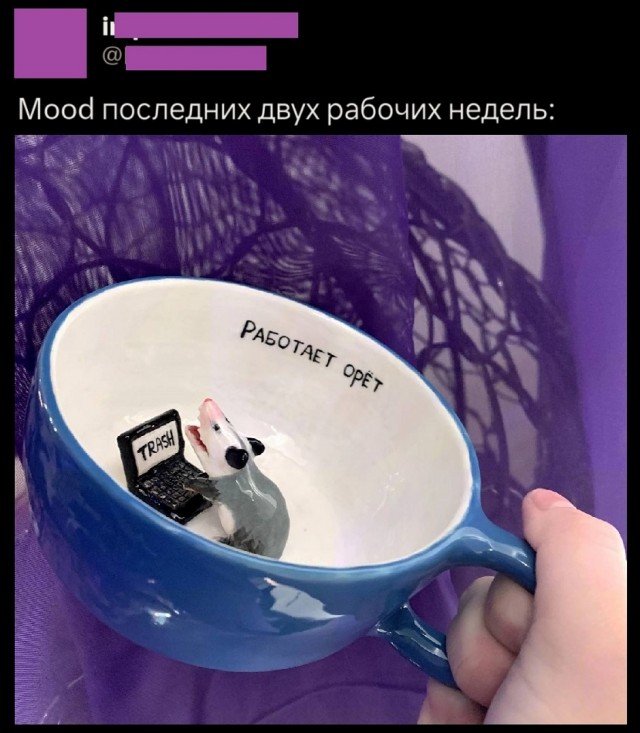 Так себе картинки 24.12.25