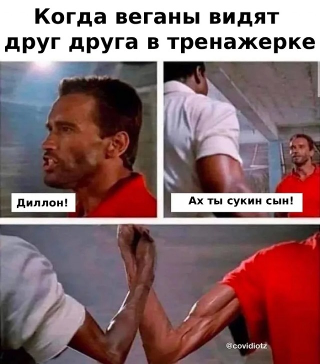 Немного картинок
