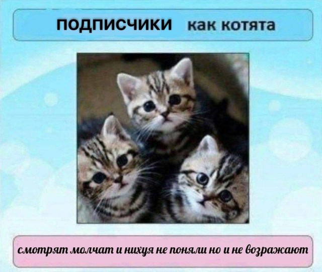 Дегрономикон 15
