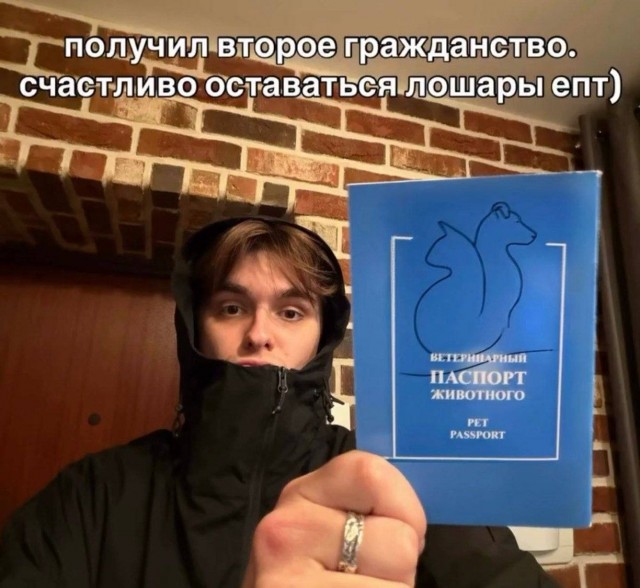 Потная гамсахурдия №4 (Картинки)