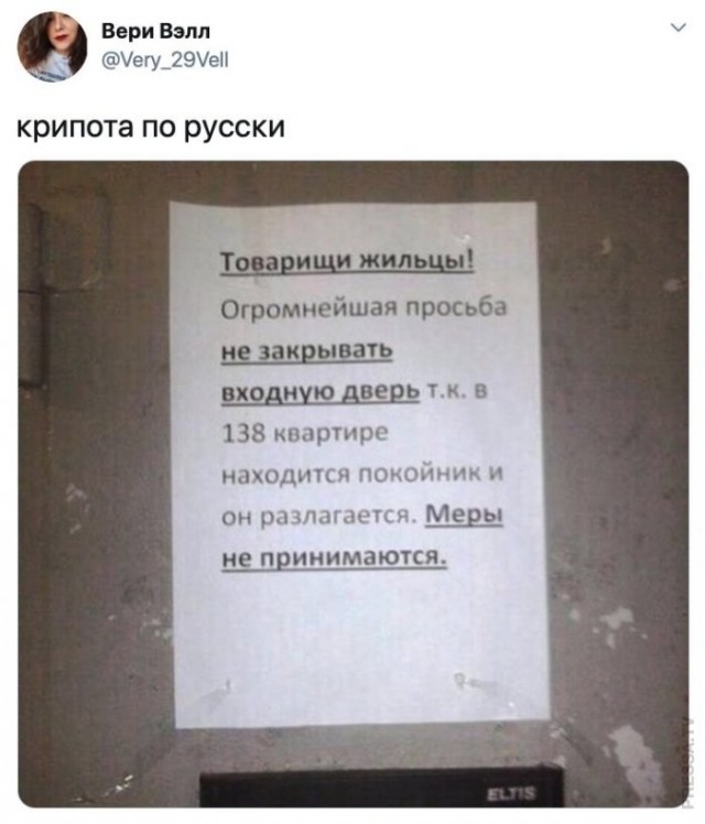 Веселые картинки в маленькую пятницу (10.06)