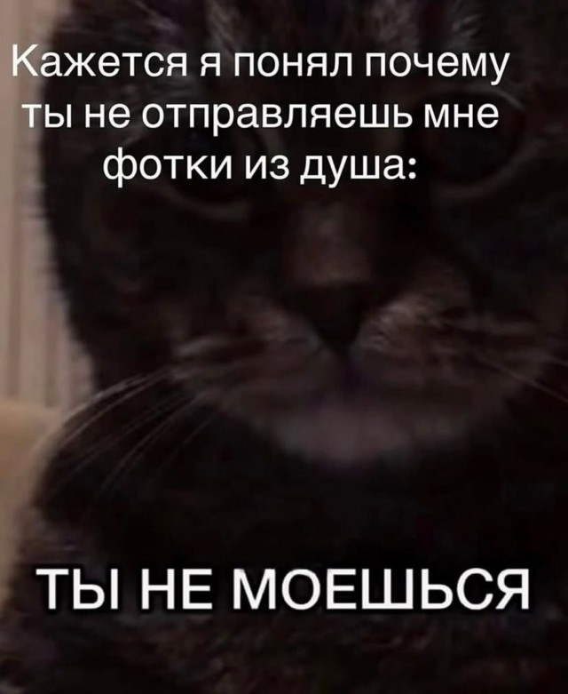 Картинки. Баяны и аккордеоны.