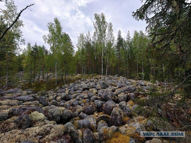 Как я ездил по Карелии