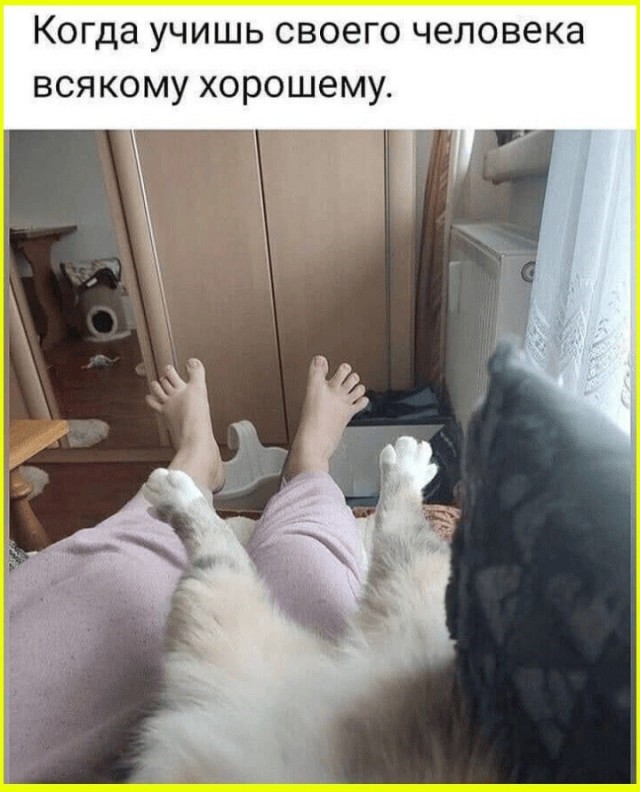 Пятничные тРРРидцать тРРРи от 16 октября
