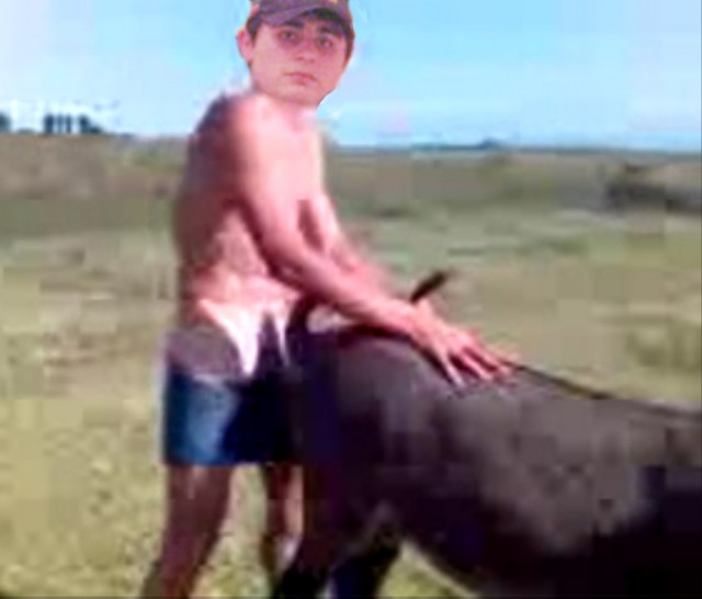 Битва мозгов.