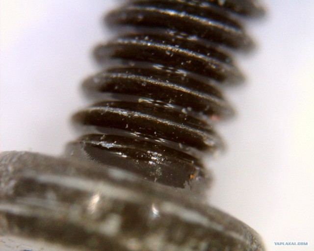 Простые вещи под микроскопом