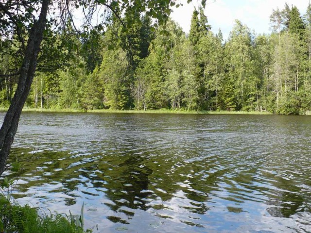 Россия в фотографиях (76 фото)