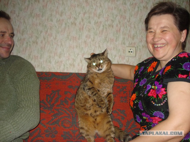 Смешные люди из социальных сетей