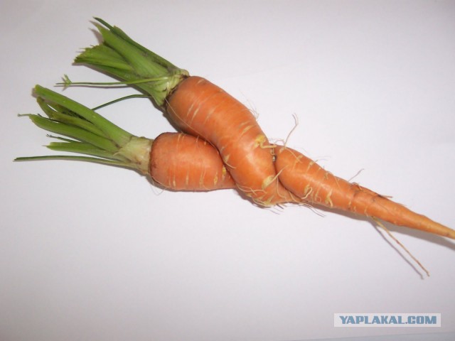 26 продуктов, которые отчаянно не хотят