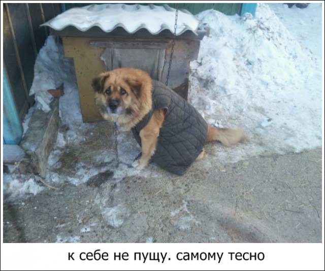 Похолодало