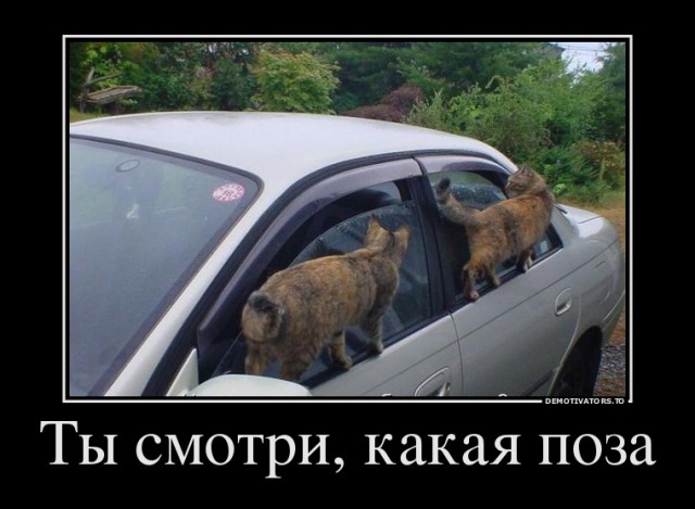 Демотиваторов пост